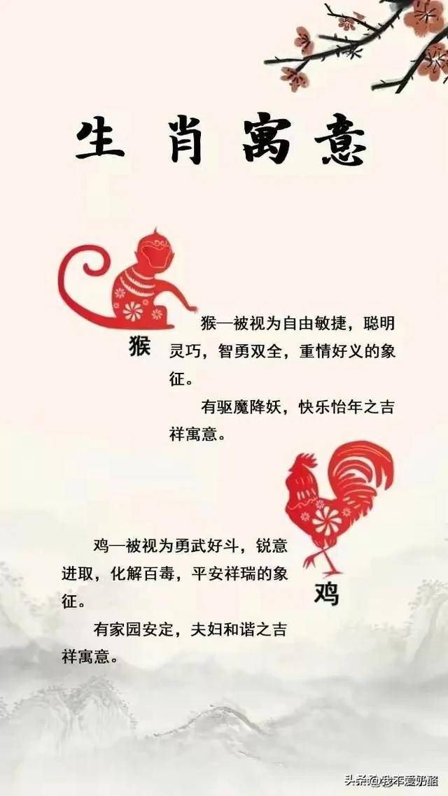 揭秘中打一生肖，生肖文化中的智慧与寓意