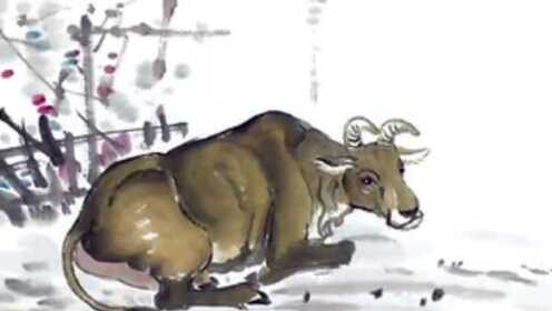 付之一炬，揭秘生肖背后的智慧与行动