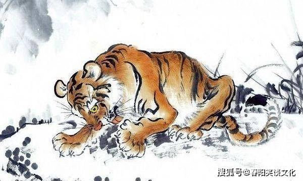 坐地虎打一生肖、真相解释落实 坐地虎打一生肖、真相解释落实