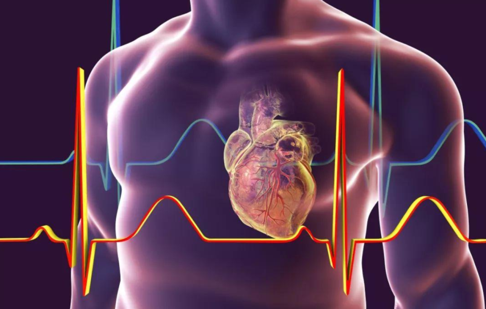无独有偶打一个生肖、定量解释落实 无独有偶打一个生肖、定量解释落实