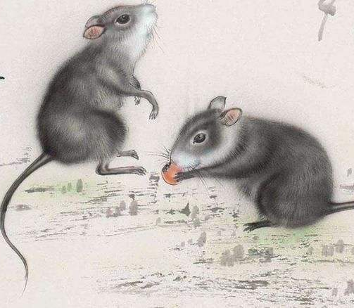 聪明伶俐的生肖,鼠—以智慧和机敏著称的灵动之选 聪明伶俐的生肖,鼠—以智慧和机敏著称的灵动之选