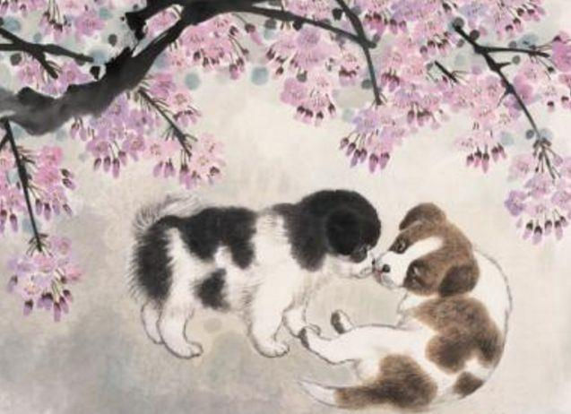 貂狗相属打一生肖,谜团揭晓与文化解读 貂狗相属打一生肖,谜团揭晓与文化解读