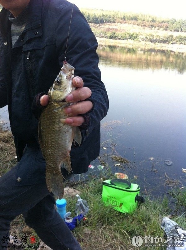 龟钓鱼金打一生肖、经典解释作答落实 龟钓鱼金打一生肖、经典解释作答落实