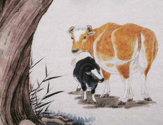 九有心打一生肖,以牛为例,谈重点诠释解释落实的智慧 九有心打一生肖,以牛为例,谈重点诠释解释落实的智慧