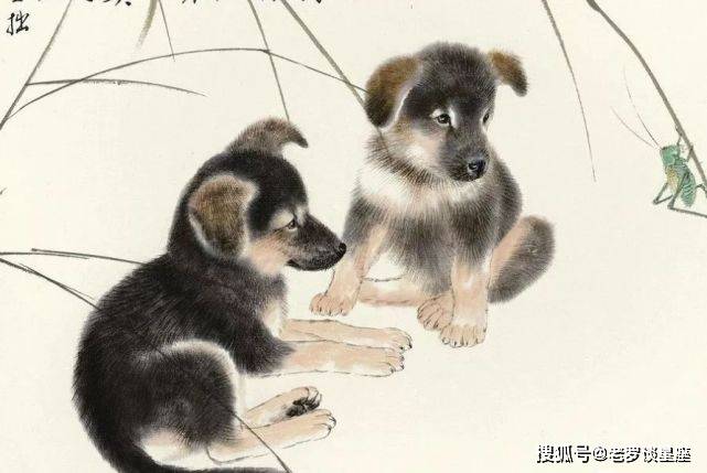 珠圆玉润打一生肖、落实相信的解释