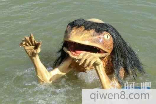 水鬼打一生肖、理想作答落实解释