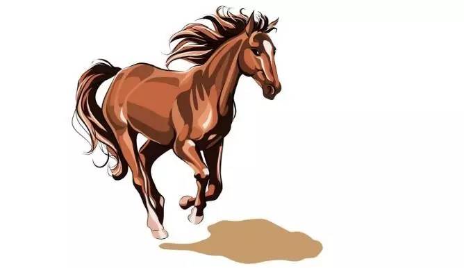 神仙带马打一生肖，揭秘与解析