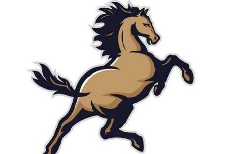 倜傥不羁打一生肖、绝佳解释落实