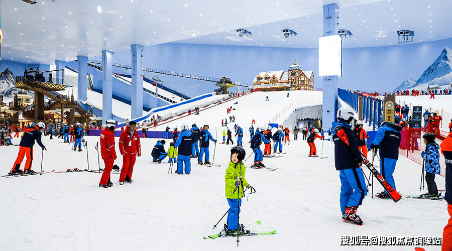 半甲子是打一生肖、精选解析与落实的详细结果