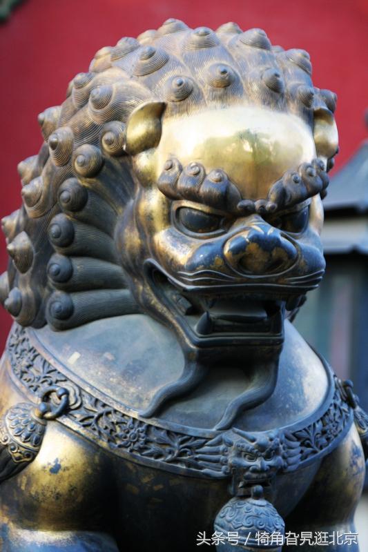 麒麟与生肖，神秘解释的落实