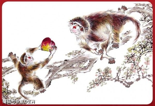 乐悠悠打一生肖，背后的智慧与策略