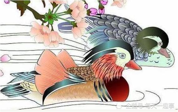 仗马寒蝉与生肖之谜，一场温馨的文化解析