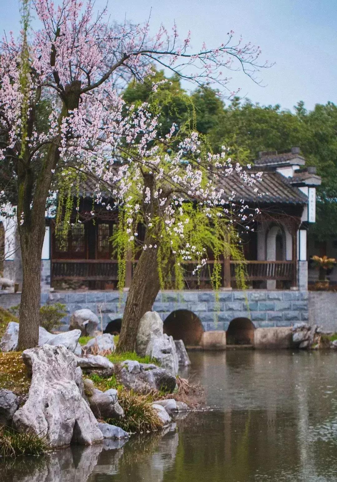 黄公酒垆与生肖之谜，网络解释的深度落实