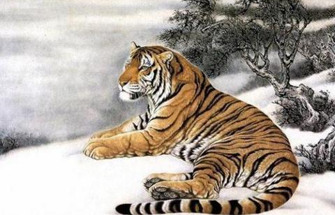 独目打一生肖、神秘解释落实