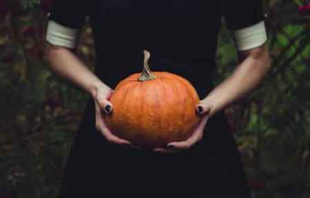 揭秘南瓜背后的生肖之谜，谜底即将揭晓