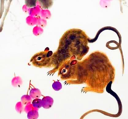 实力第一打一生肖，生肖鼠的智慧与坚韧