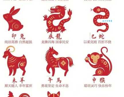 风水宝地打一生肖动物、神秘解释落实