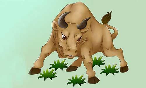 友爱作答，看牛打马打一生肖的智慧与温情