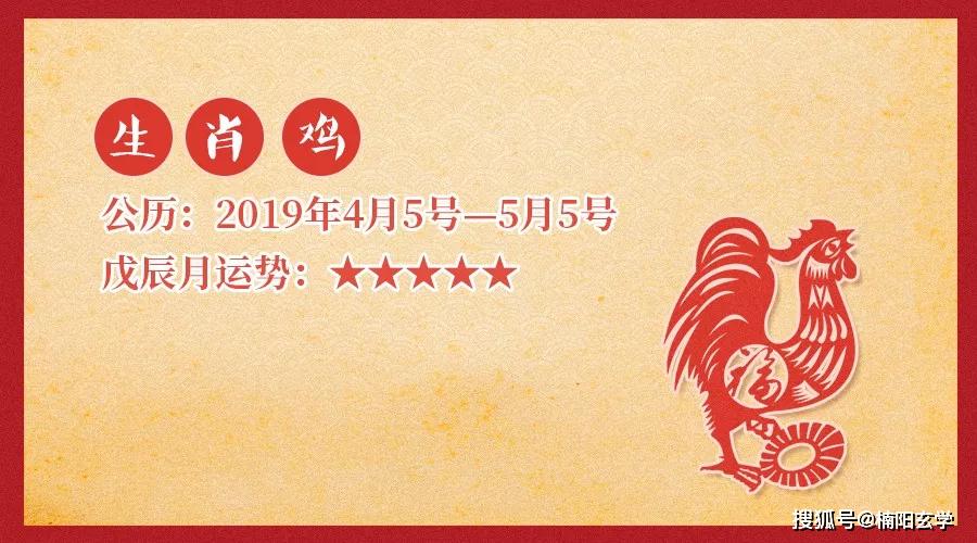 粘打一生肖、积极作答，落实解释