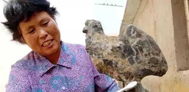 瞎胡闹打一生肖、热议解释落实