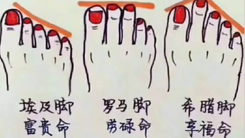 大手大脚与生肖之谜，新型作答的深度解析