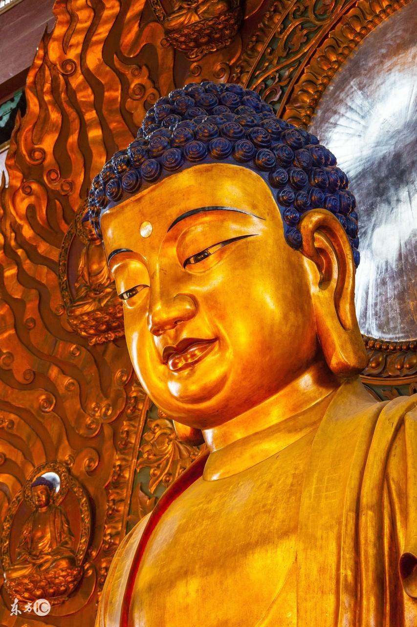 揭秘生肖之谜，得心应手背后的生肖玄机