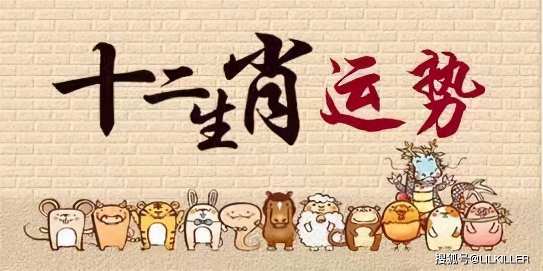 初心之旅打一生肖、精选解析与落实的详细结果