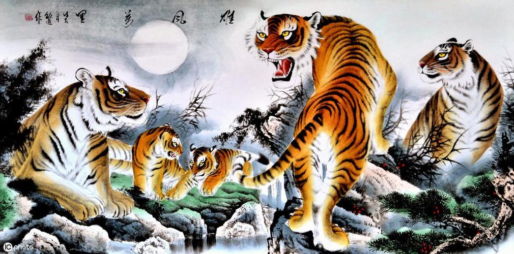 卧虎藏龙与团结的奥秘，生肖之谜的深度解析