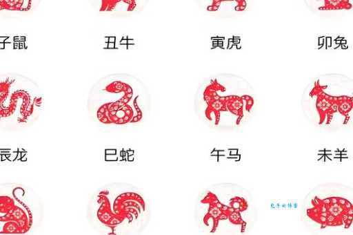 开字打一生肖、背后的坚韧与不屈