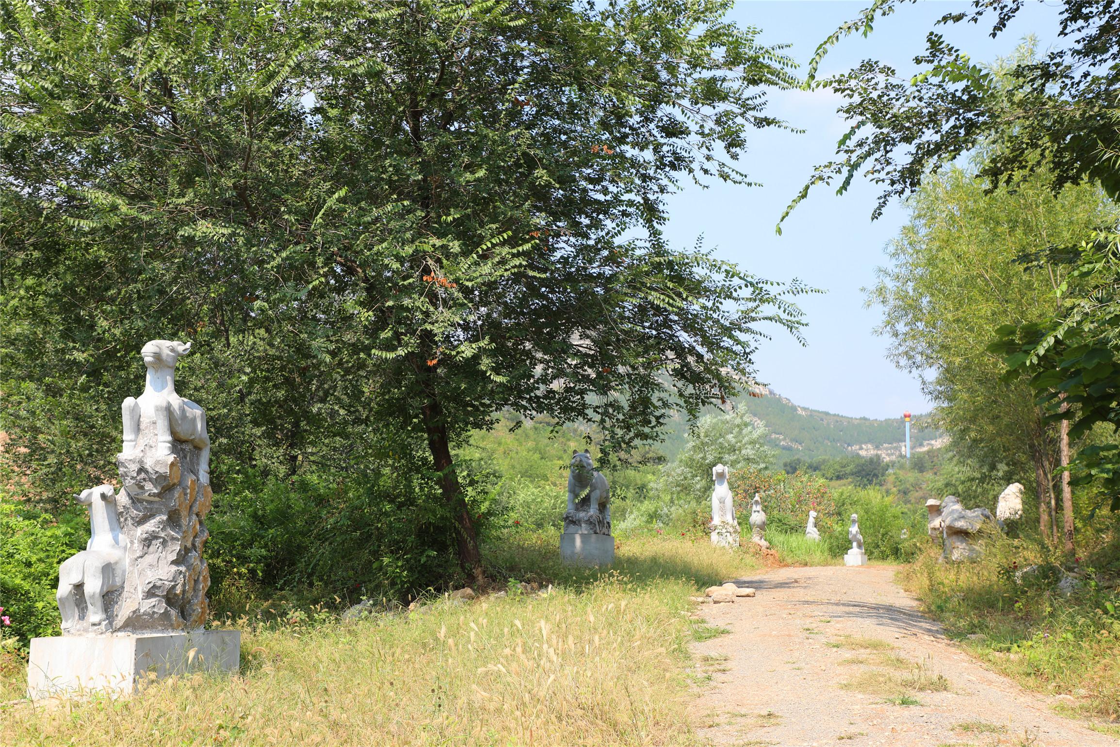 今期生肖有蛇羊，揭秘选择背后的智慧与落实