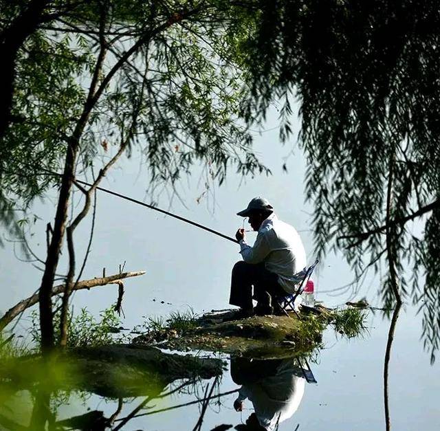 垂钓打一生肖、友爱作答落实解释