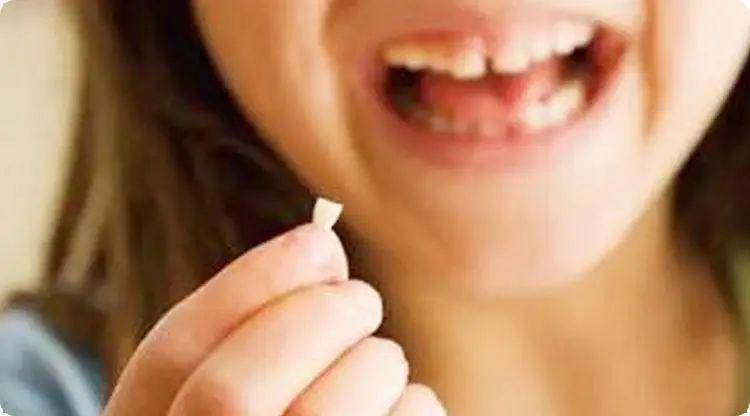 天生无牙打一生肖、发现作答落实解释