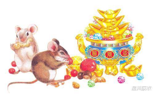 望门投止的神秘生肖解读，揭秘鼠的智慧与机敏