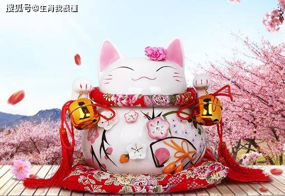 美梦成真打一生肖、积极作答，落实解释