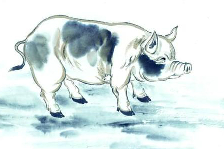 逞强好胜,生肖背后的坚韧与不屈 逞强好胜,生肖背后的坚韧与不屈