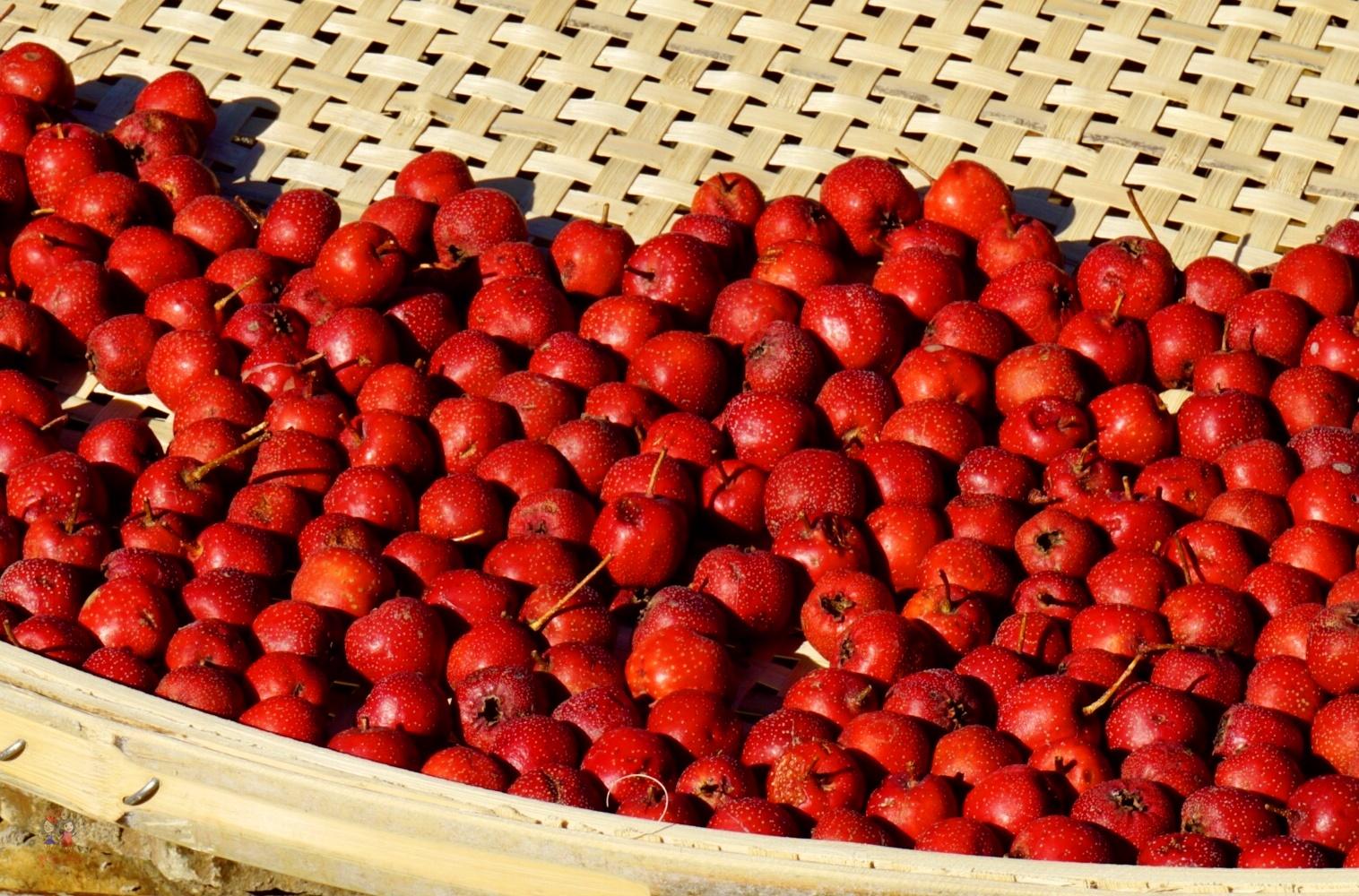 交梨火枣与生肖的神秘对话，能人解释与现代生活的智慧融合