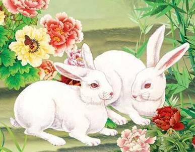 今期生肖鸳鸯侣，实证解释与文化寓意