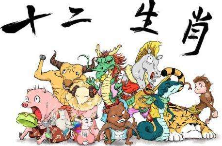 第九之位，生肖中的智慧与哲理