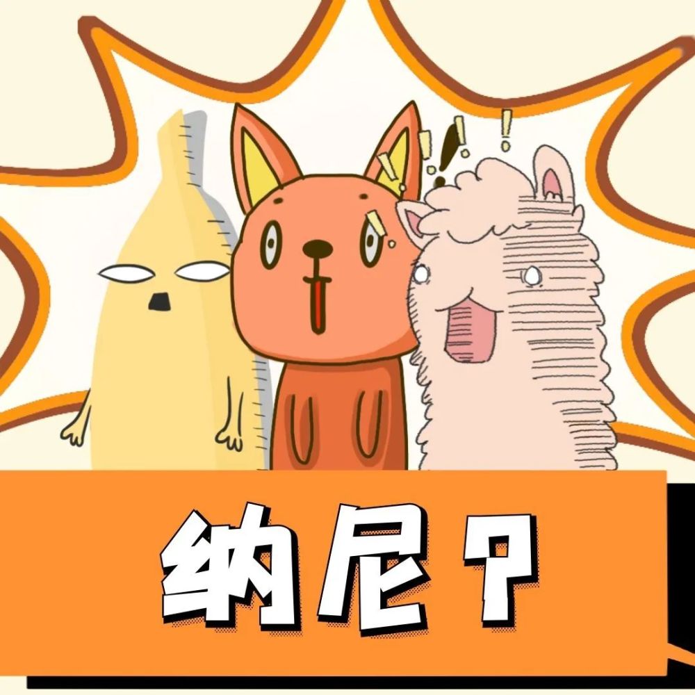 胆大包天打一生肖，探索与理解的深度之旅