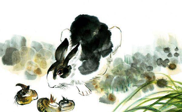 桃梅逐路打一生肖、的动物智慧与战略运用