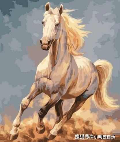 脱缰之马打一生肖、新型作答落实解释