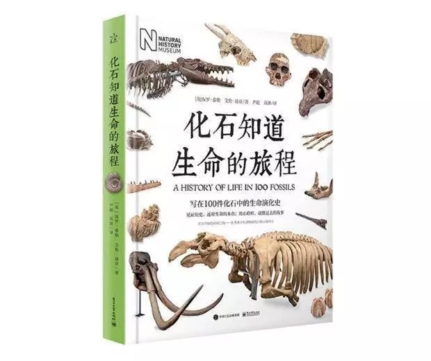 汗马功劳与生肖的神秘联系，一场关于通用解释落实的探索