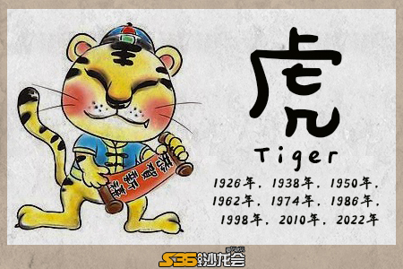 今期生肖决定虎，深度解析与落实