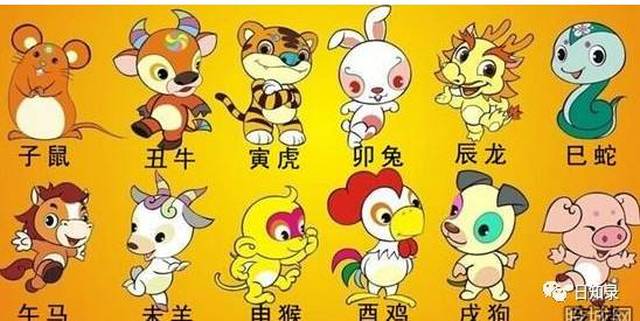 正确理解与落实看五官生肖打一肖的智慧