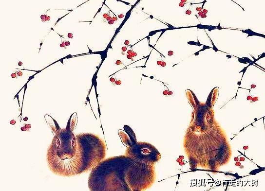 睿智之光，揭秘睿智打一生肖的深层含义与热议解读