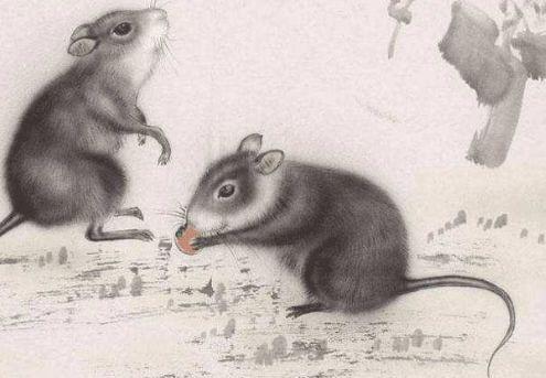 颠倒乾坤与团结的力量，生肖鼠的启示