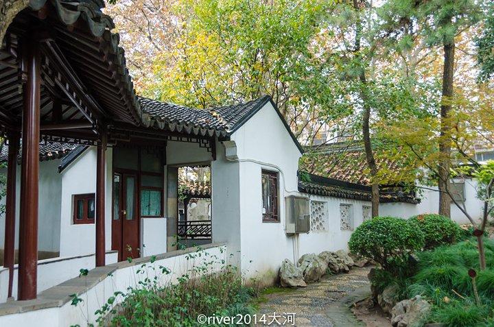 六朝古都打一生肖、背后的坚韧与不屈