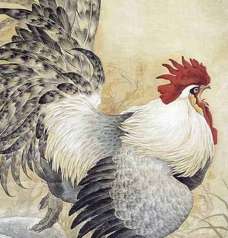 阳煦山立与生肖之谜，揭秘鸡的独特寓意