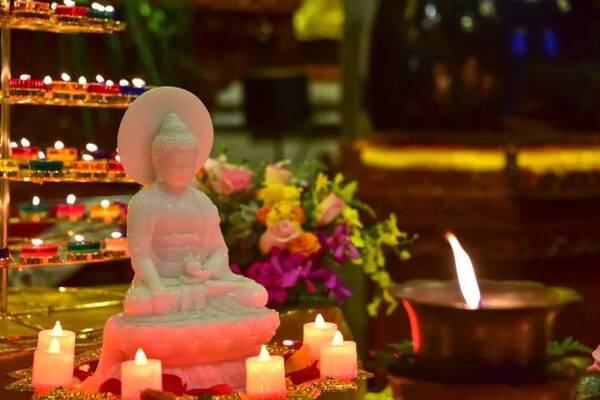 善颂善祷打一生肖、激励作答落实解释