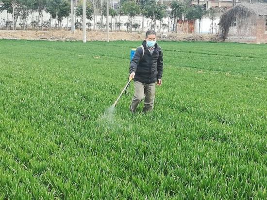 二月花打一生肖、的不安分之选